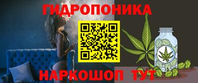 МДПВ Ефремов