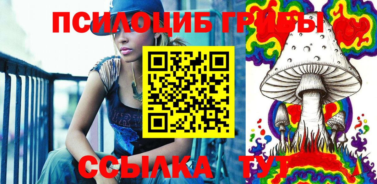 Псилоцибиновые грибы Cubensis Волжск